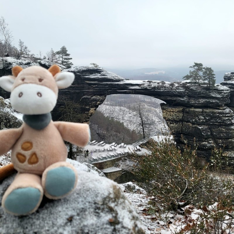 Plush cow toy on snowy rocks with natural stone arch in the background.