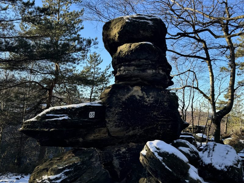 Large rock formation with snow surrounded by trees under a clear blue sky.
