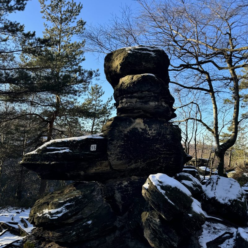 Large rock formation with snow surrounded by trees under a clear blue sky.