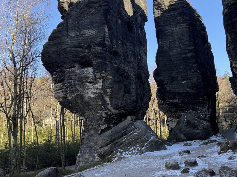 Tall rock formations in a forest with a clear blue sky background.