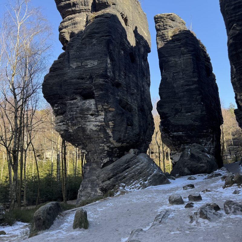 Tall rock formations in a forest with a clear blue sky background.