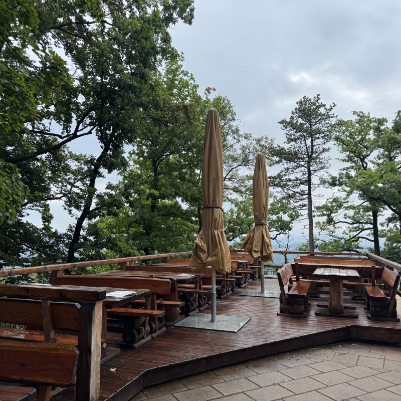Outdoor patio with wooden tables and closed umbrellas surrounded by trees.