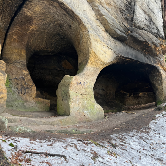 Two cave entrances in a rock face with snow on the ground and a tree trunk on the right.