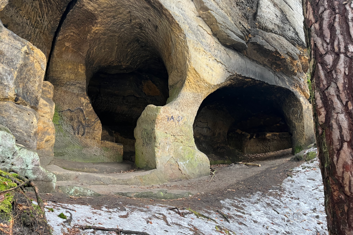 Two cave entrances in a rock face with snow on the ground and a tree trunk on the right.