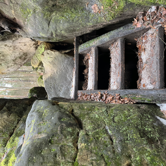 Rocky cave entrance with wooden beams and surrounding mossy rocks.