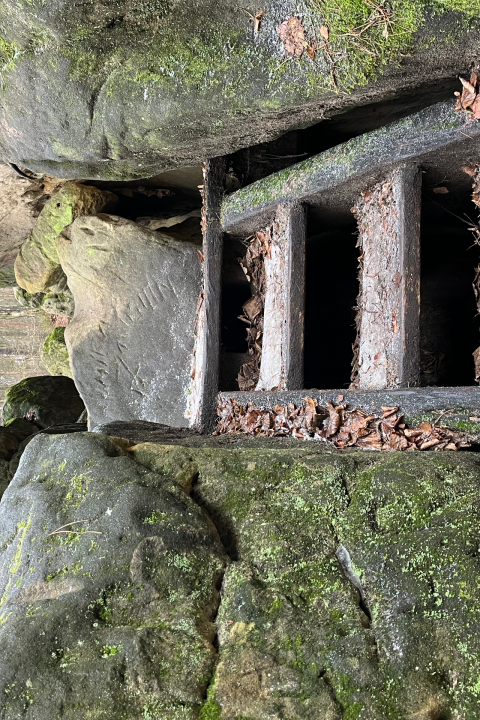 Rocky cave entrance with wooden beams and surrounding mossy rocks.