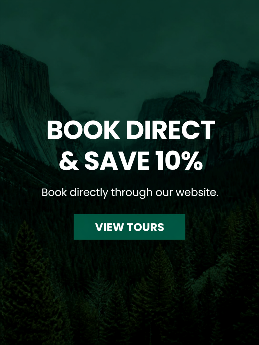 Ad for booking tours with 10% discount over forest backdrop.