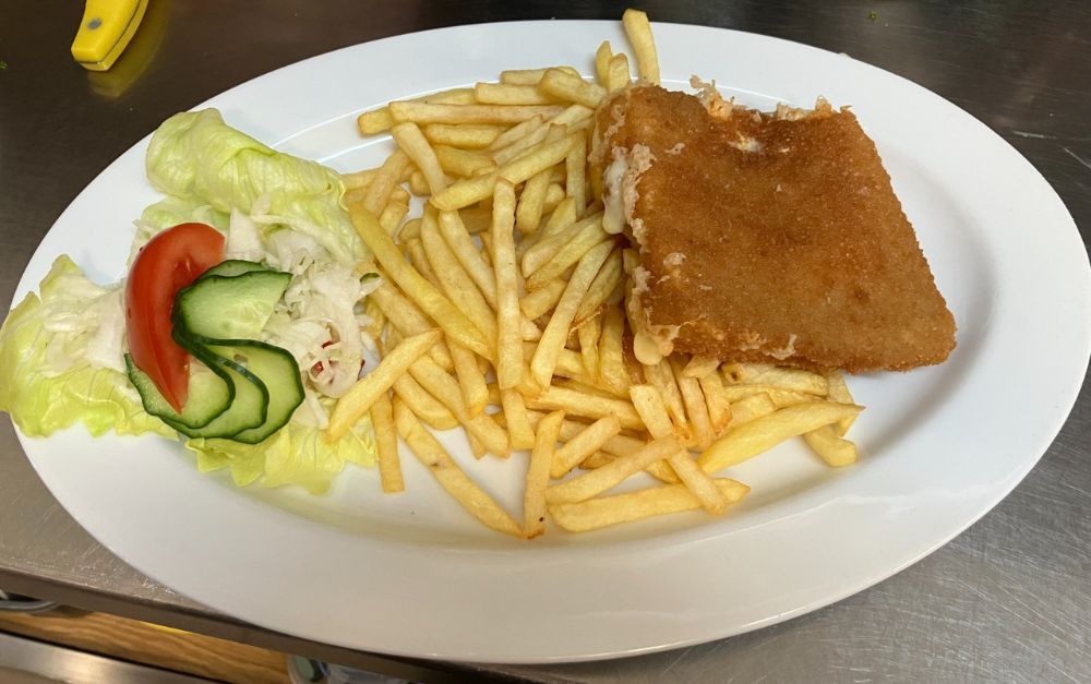 Plate with fries, breaded fish, lettuce, cucumber, and tomato.