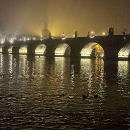 Illuminated stone bridge arches over reflective water on a foggy night.