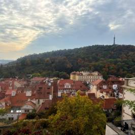Scenic view of a hillside with red-roofed buildings and a cloudy sky.